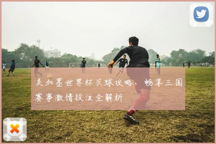 美加墨世界杯买球攻略，畅享三国赛事激情投注全解析