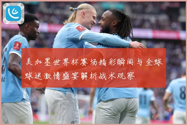 美加墨世界杯赛场精彩瞬间与全球球迷激情盛宴解析战术观察
