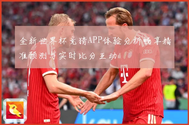 全新世界杯竞猜APP体验分析畅享精准预测与实时比分互动