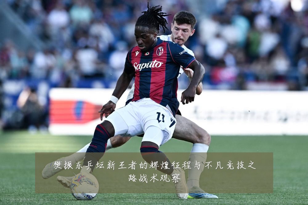 樊振东乒坛新王者的辉煌征程与不凡竞技之路战术观察