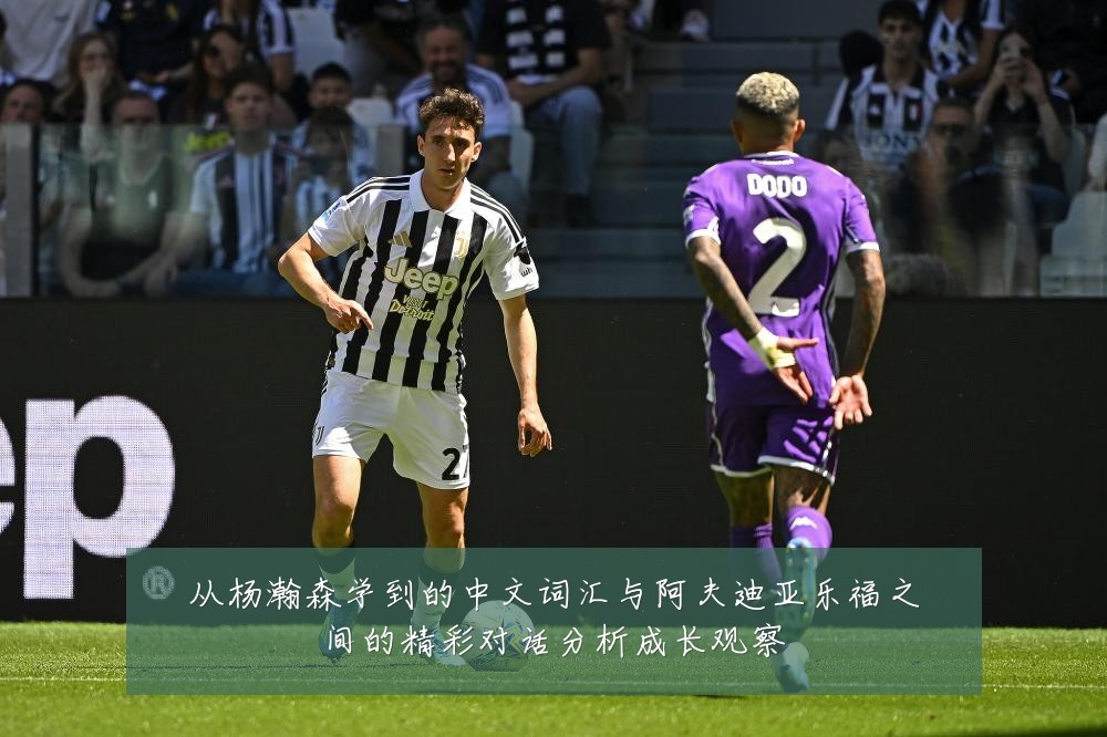 从杨瀚森学到的中文词汇与阿夫迪亚乐福之间的精彩对话分析成长观察
