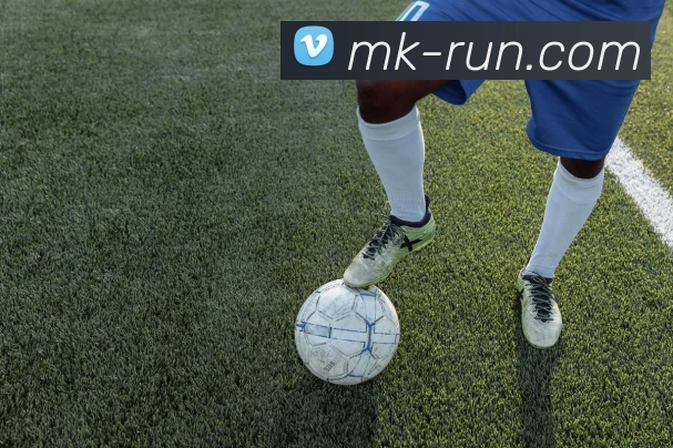 MK体育平台展示图